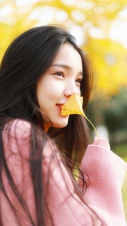 台湾s8sp隐藏路线和免费路线应用界面